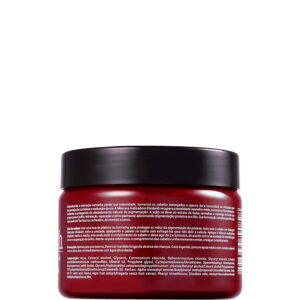 Retrô Red Elisabeth - Máscara Matizadora Tons Vermelhos 300g