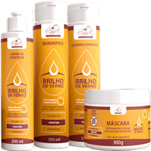 Belkit Brilho de Verniz - Kit Restauração Capilar Brilho Intenso (4 Produtos)