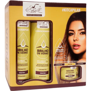 Belkit Brilho de Verniz - Kit Restauração Capilar Brilho Intenso (4 Produtos)